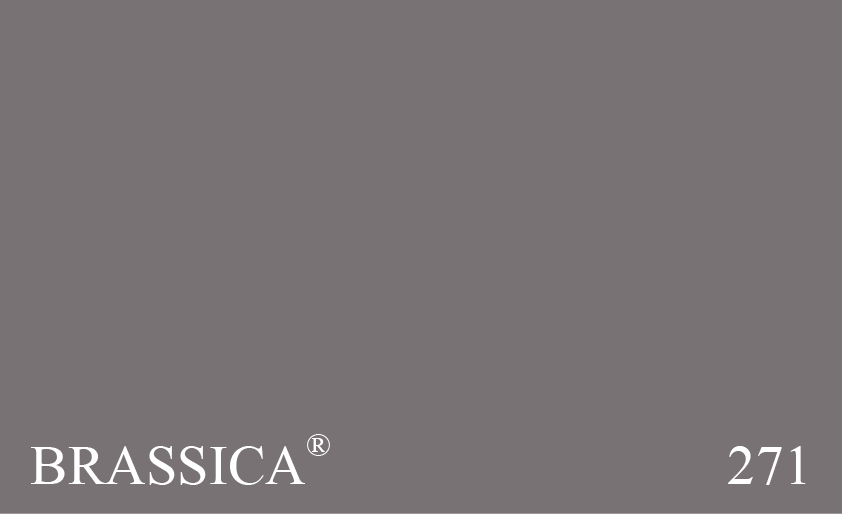 Couleur 271 Brassica : Une version vieillie et plus foncée de Calluna. Cette couleur prend vie lorsqu’elle est combinée avec Calluna et Pelt.