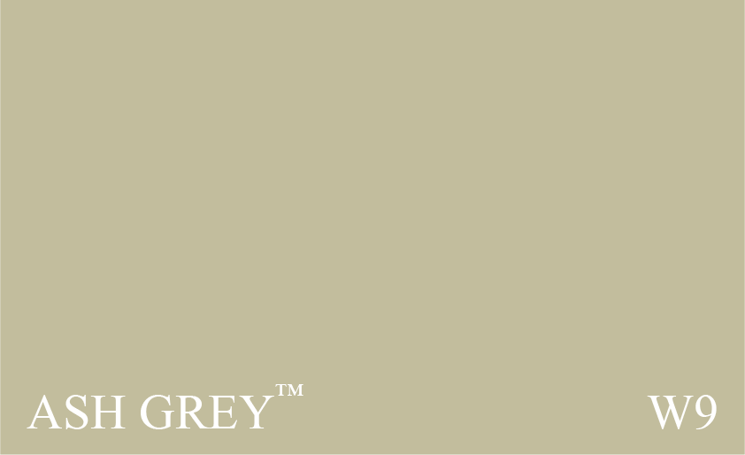 Couleur Peinture Farrow & Ball NHM W9 Ash Grey : Cendre des bois avec une touche de vert