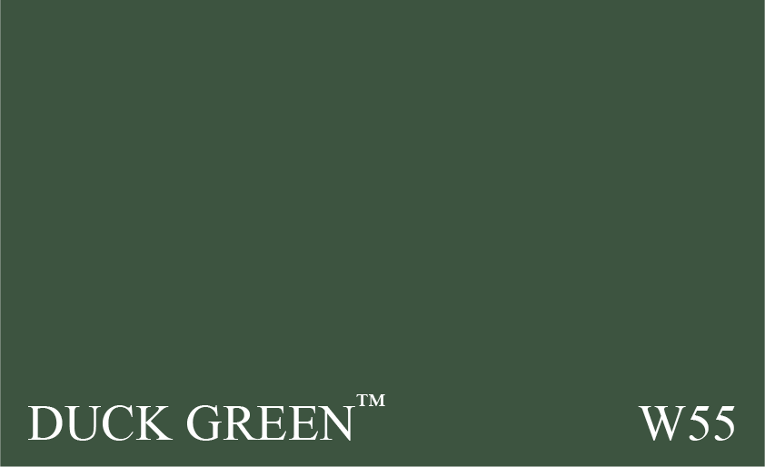 Couleur Peinture Farrow & Ball NHM W55 Duck Green : Vert profond