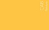 Couleur Peinture Cari : Jaune solaire lumineux. " title="Couleur Peinture Cari : Jaune solaire lumineux.