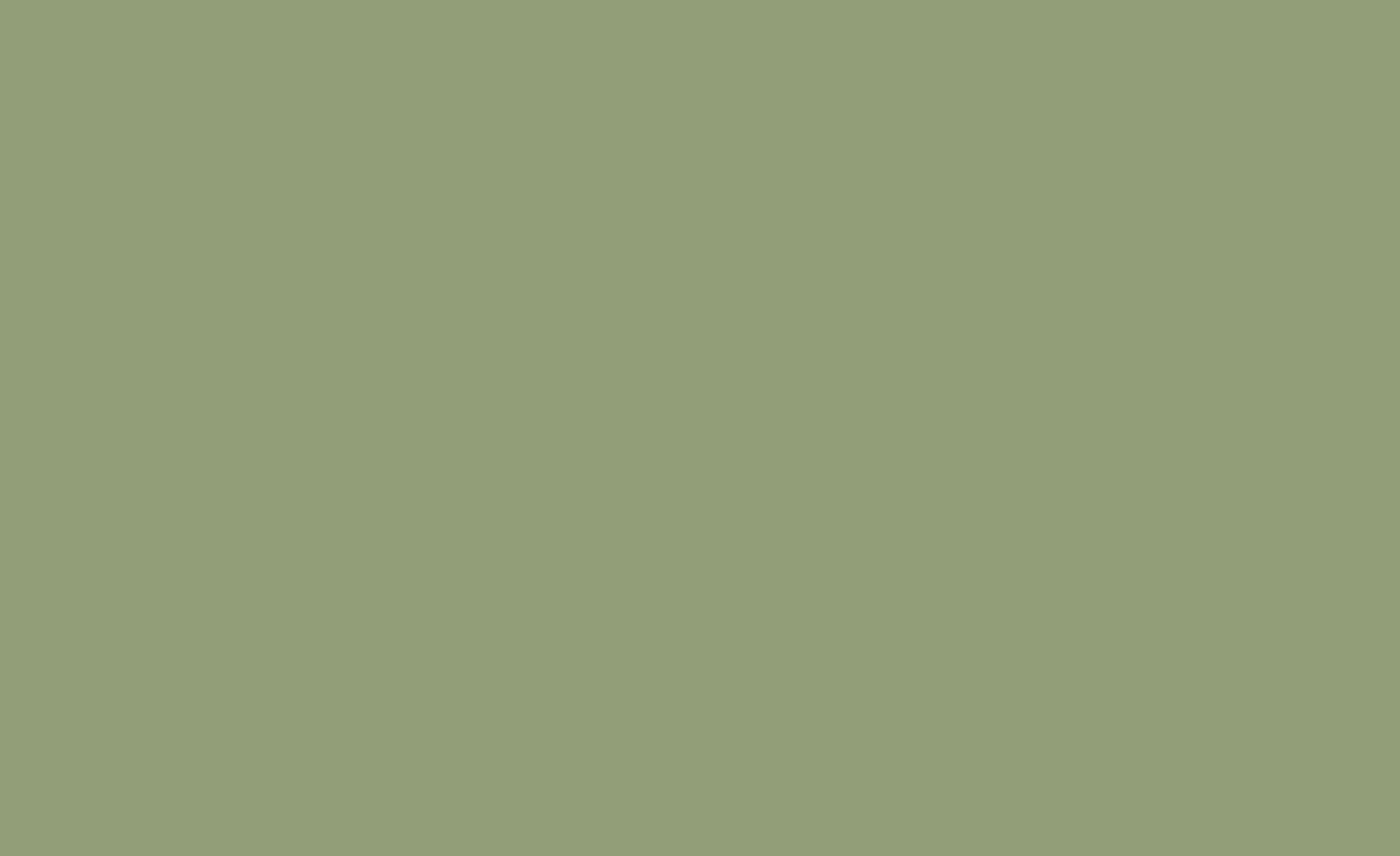 Couleur Artichaut : Vert moyen chaleureux et lumineux. 