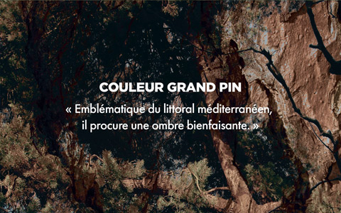 Couleur GRAND PIN - « Emblématique du littoral méditerranéen, il procure une ombre bienfaisante. »