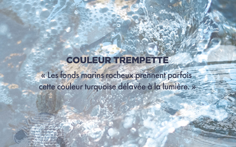 Couleur TREMPETTE - « Les fonds marins rocheux prennent parfois cette couleur turquoise délavée à la lumière. »