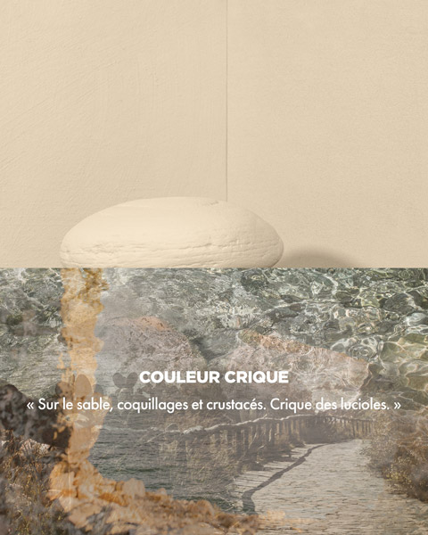 Couleur CRIQUE - « Sur le sable, coquillages et crustacés. Crique des lucioles. »