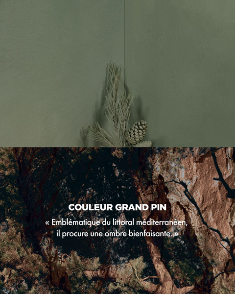 Couleur GRAND PIN - « Emblématique du littoral méditerranéen, il procure une ombre bienfaisante. »