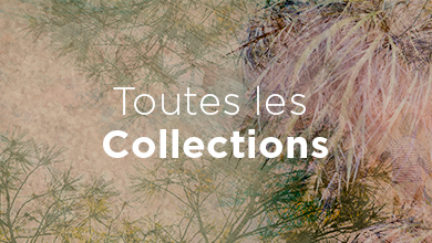 La chaux - Les Trois Matons, les collections