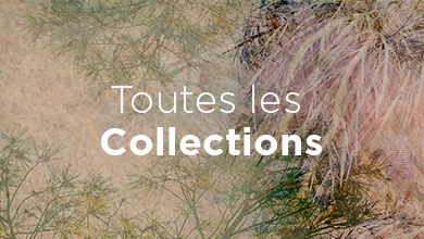 Toutes les collections de chaux