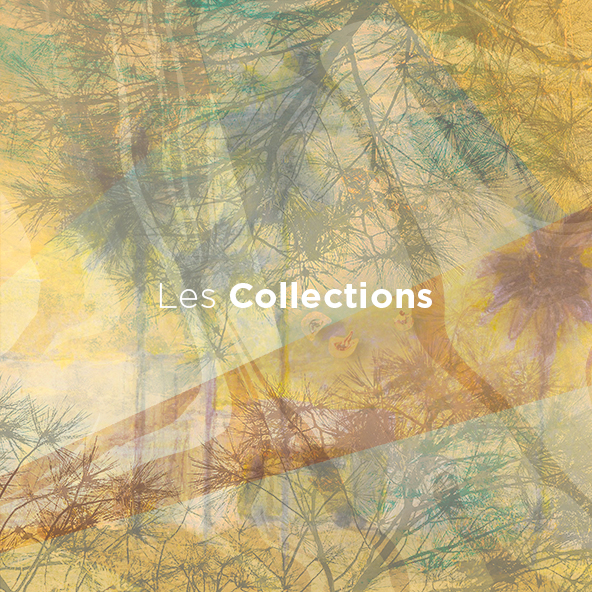 Les Peintures Mercadier - Les Collections