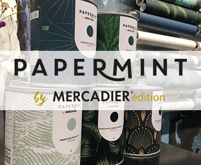 Mcnat Mercadier Htel de Gallifet - Mur couleur GRANITE INDIGO de la collection Mercadier dition x Papermint