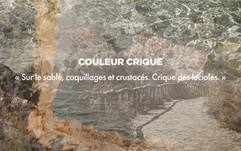 Couleur CRIQUE - « Sur le sable, coquillages et crustacés. Crique des lucioles. »