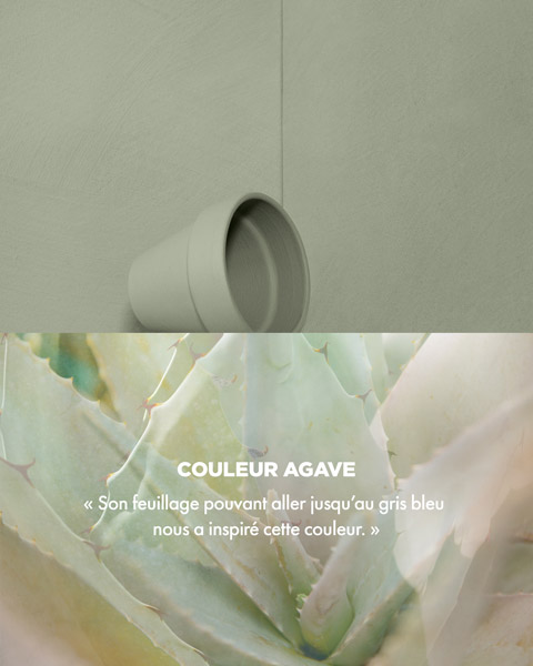 Couleur AGAVE - « Son feuillage pouvant aller jusqu'au gris bleu nous a inspiré cette couleur. » Couleur AGAVE - « Son feuillage pouvant aller jusqu'au gris bleu nous a inspiré cette couleur.»