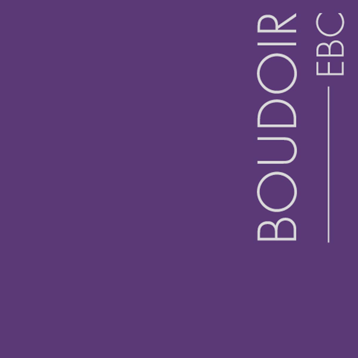 Couleur Boudoir : Un violet intense et lumineux à utiliser en touche ou à marier à une couleur chaude