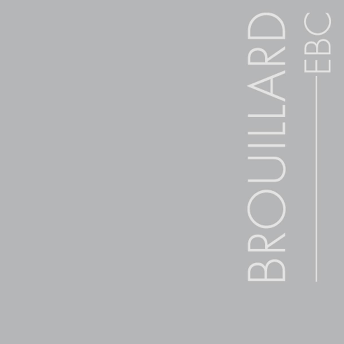 Couleur Brouillard : Gris classique, légèrement bleu dégradé de graphite et brume