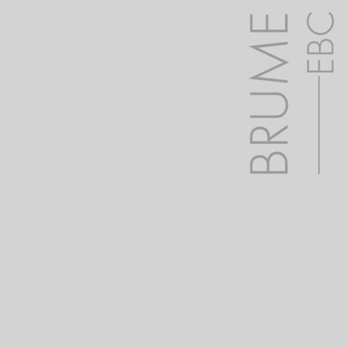 Couleur Brume : Gris clair légèrement bleu, dégradé de brouillard et graphite