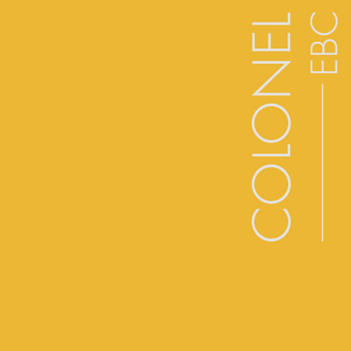 Couleur Colonel : Un jaune miel aux reflets terre et ocre pour un rendu sourd et chaleureux.