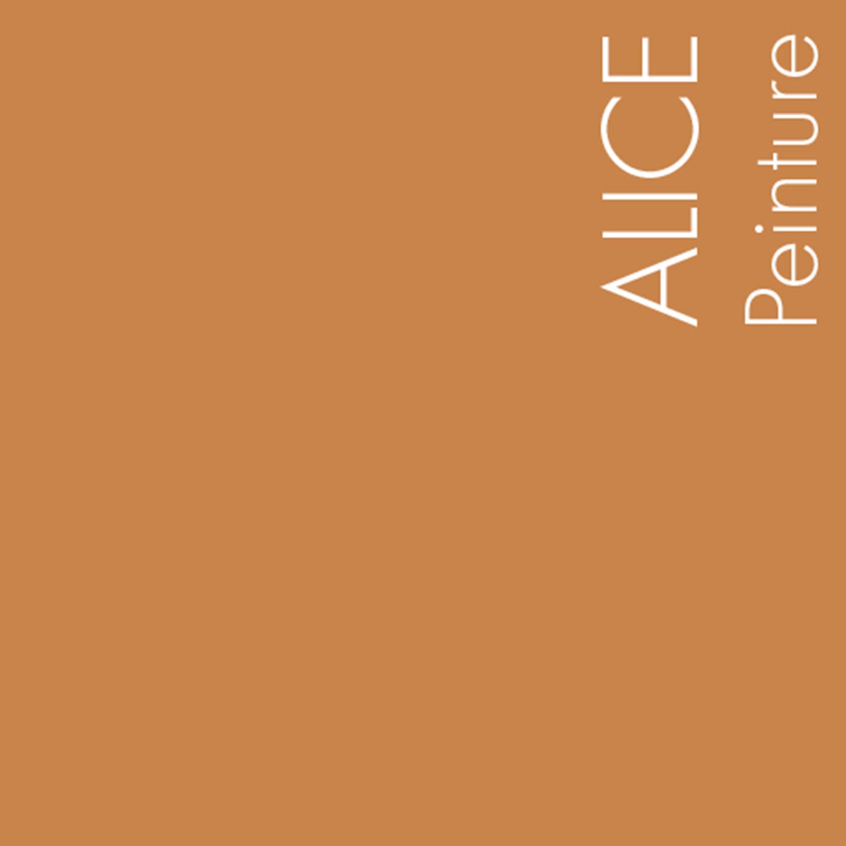 Couleur Alice : Orange brûlé et ocré