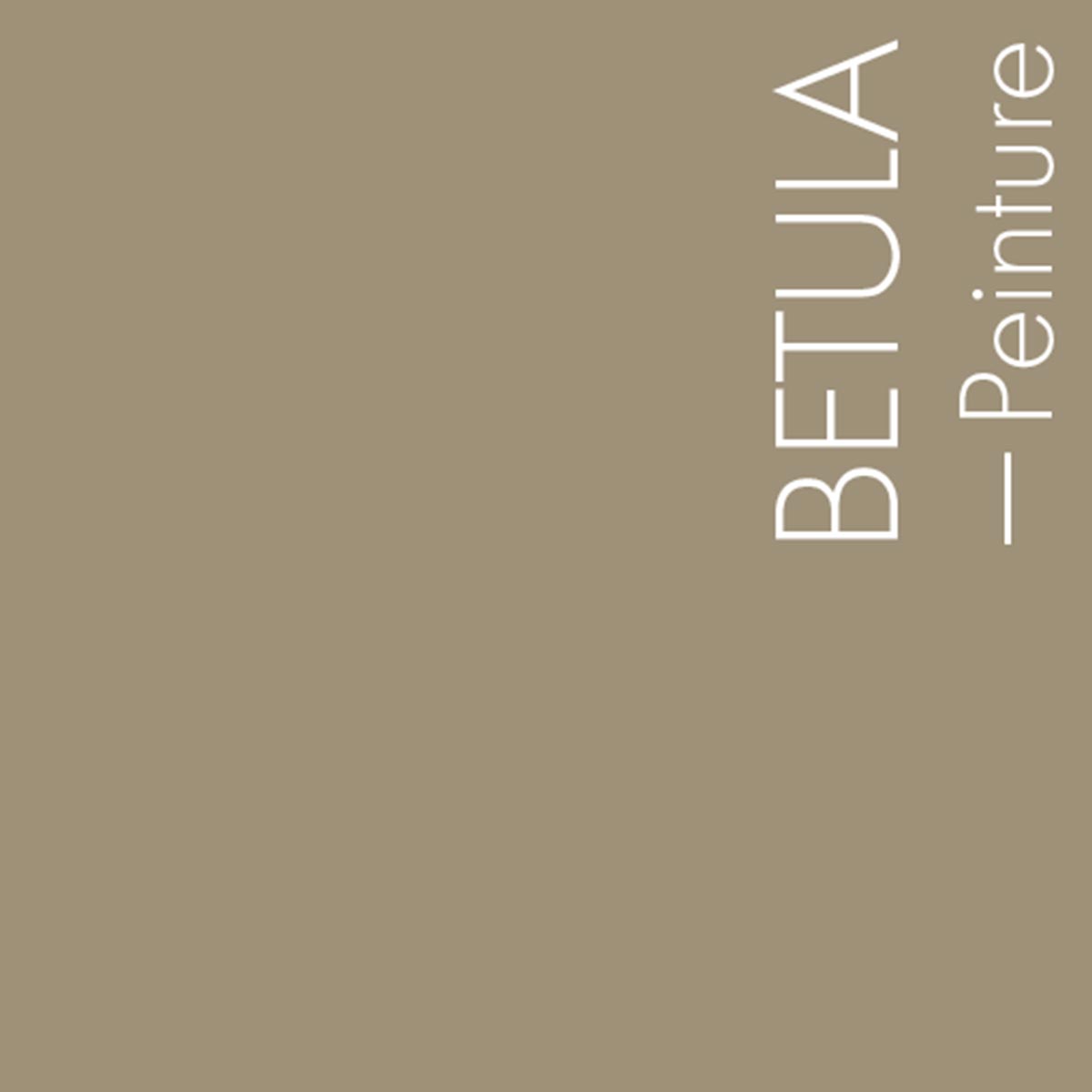 Couleur Betula : Brun clair sans reflet vert, à comparer au BECASSE