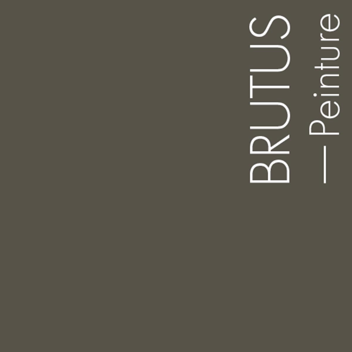 Couleur Brutus : Oscille entre le brun et le vert, une couleur terreuse de sous bois moussu et de tourbe.