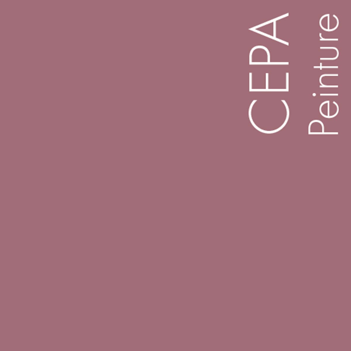 Couleur Cepa : Rose moyen couleur raisin écrasé