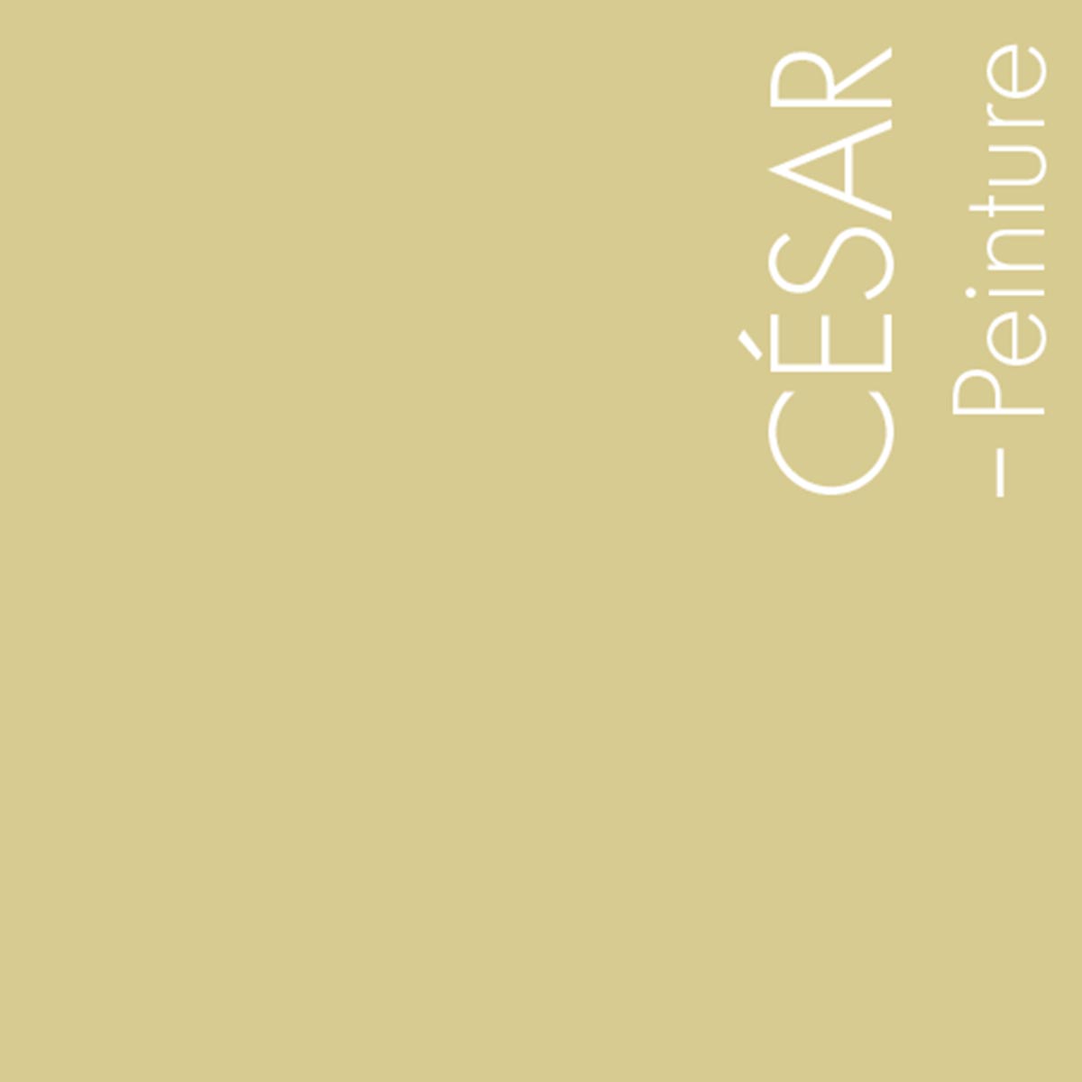 Couleur Cesar : Jaune vert sableux et complexe