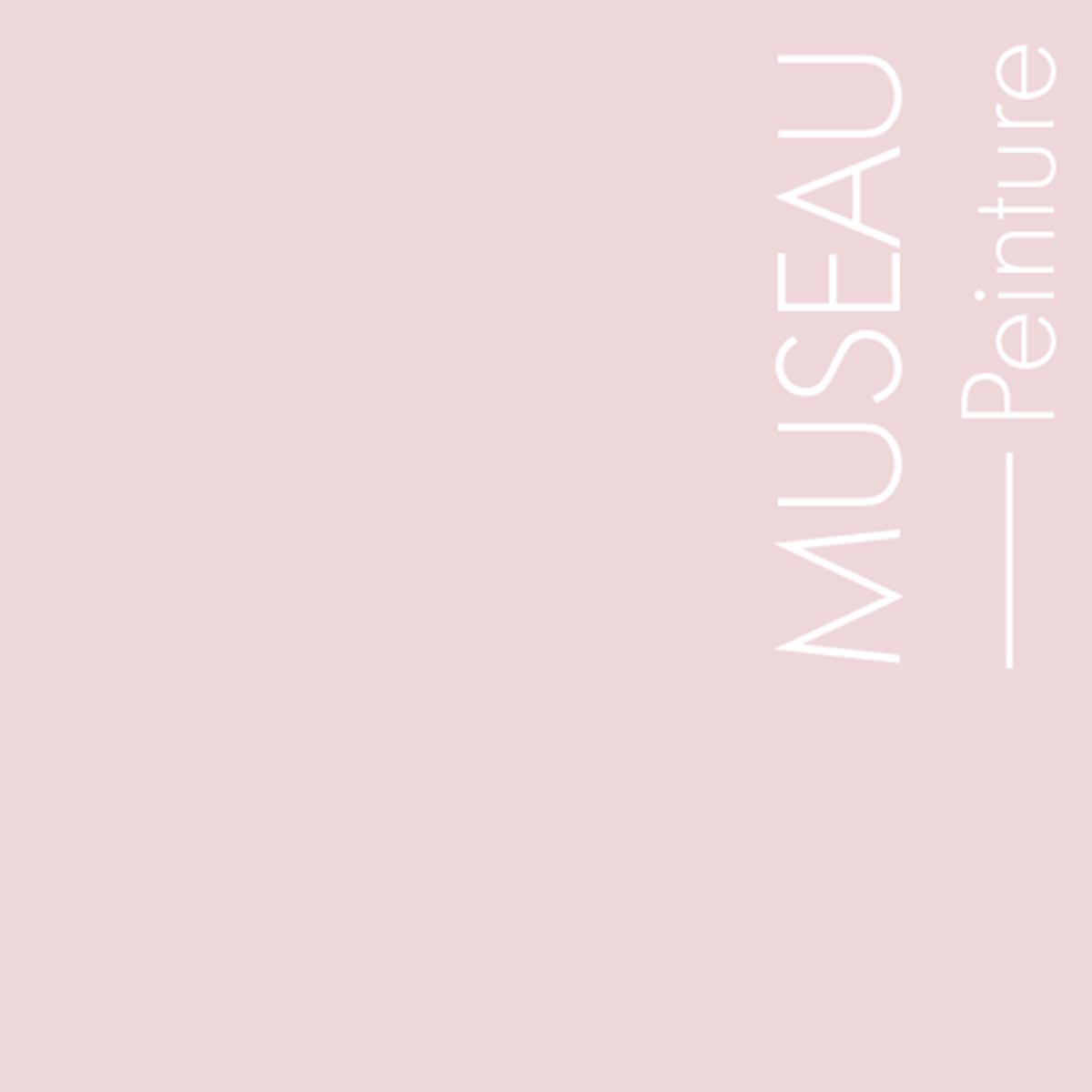 Couleur Museau : Rose clair délicatement poudré et très facile d