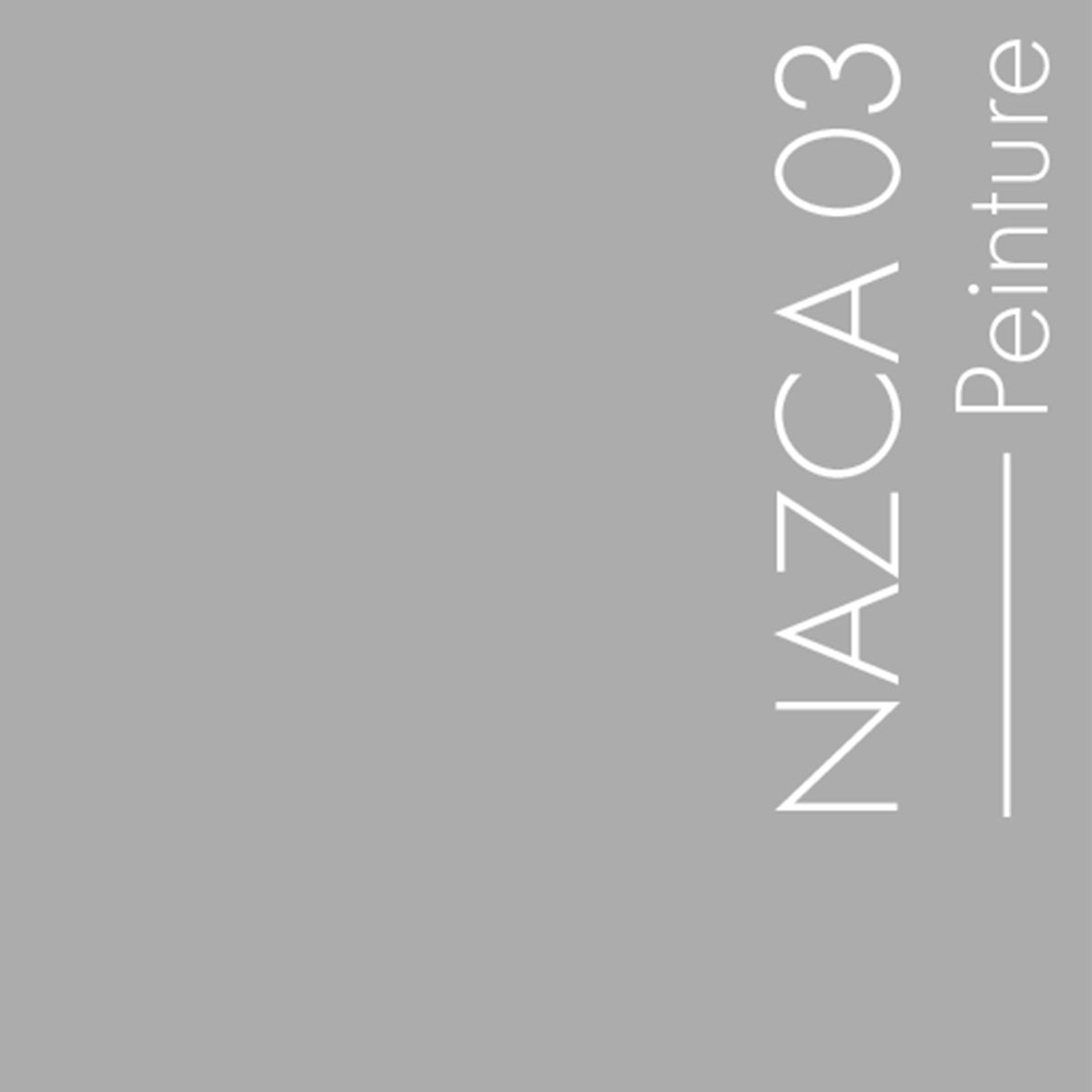 Couleur Nazca03 : Gris moyen chaud, à peine rosé.