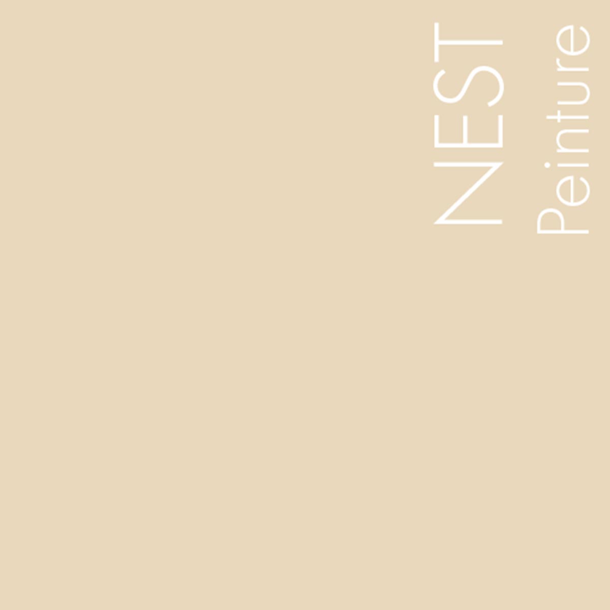 Couleur Nest : Couleur " coquille d