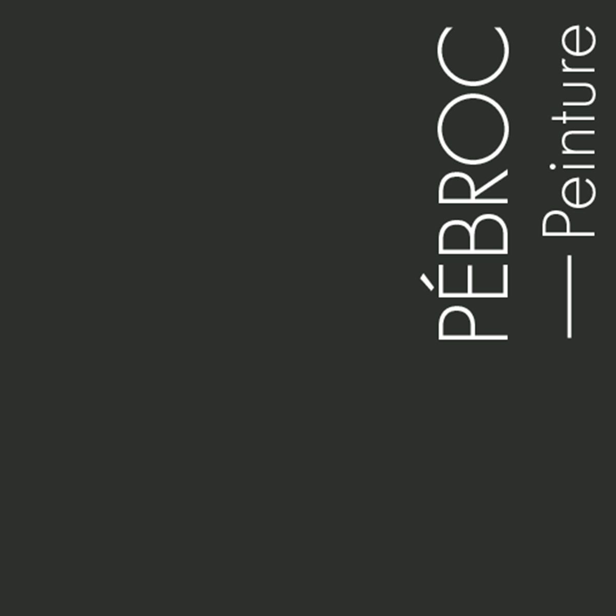 Couleur Pebroc : Gris tellement foncé qu