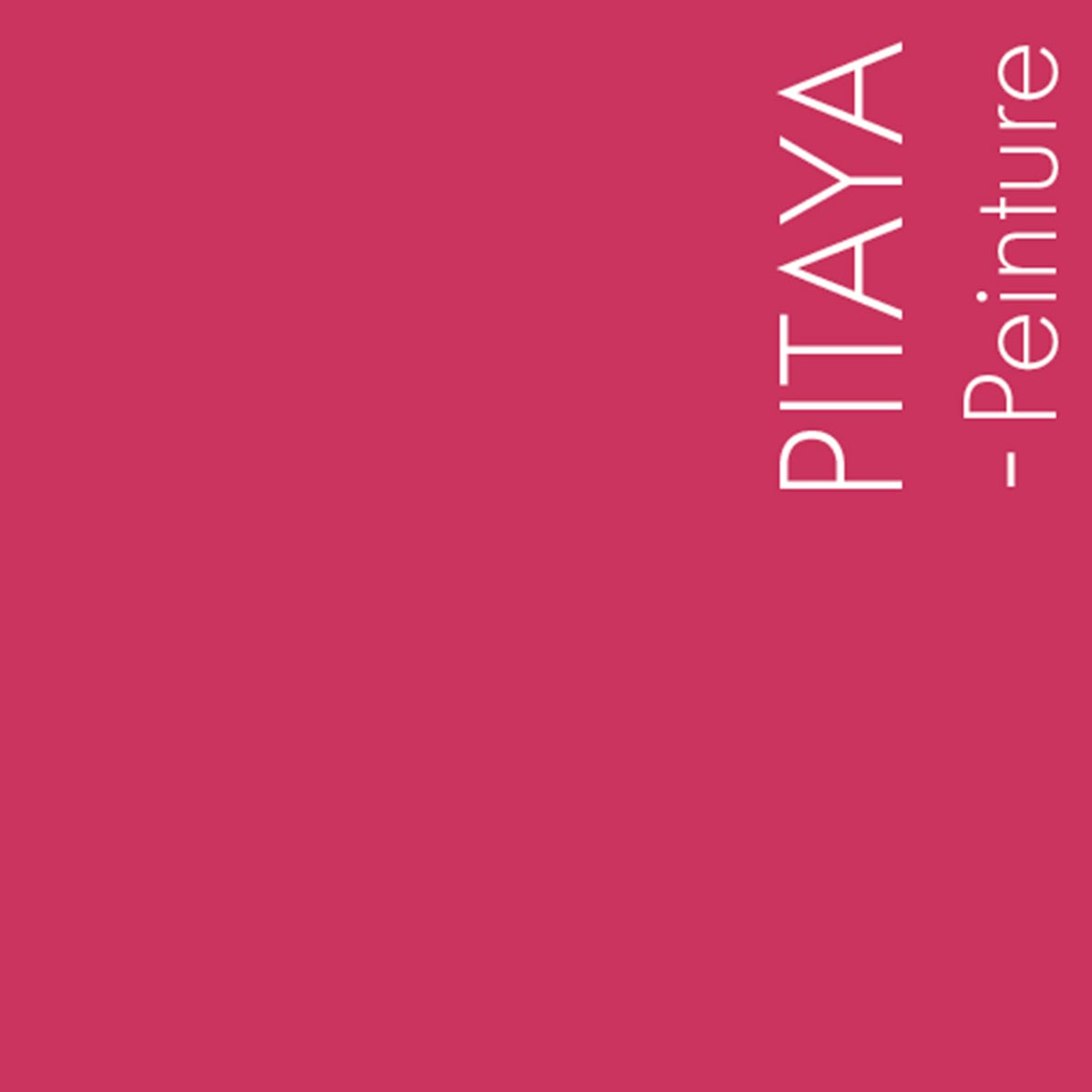Couleur Pitaya : Couleur étonnante que ce rose indien très lumineux