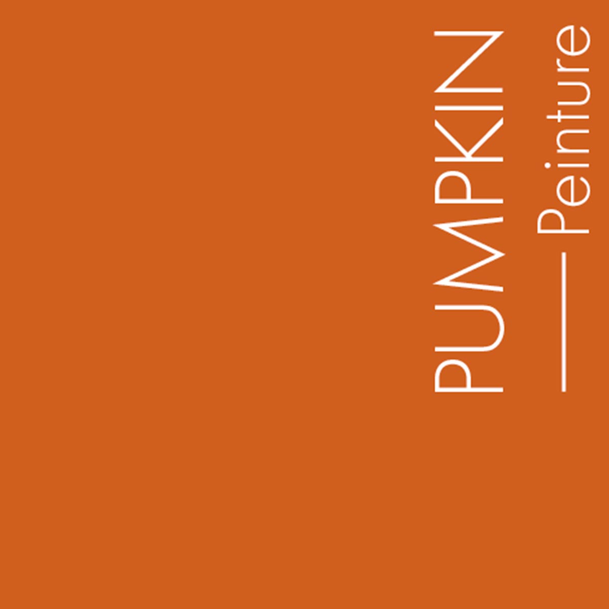 Couleur Pumpkin : Couleur orangée, légèrement assourdie, moins vive que Tangerine.
