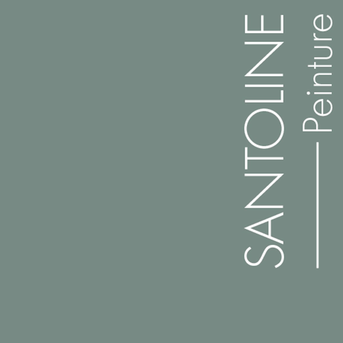 Couleur Santoline : Vert grisé foncé ( plus foncé que Platoon).