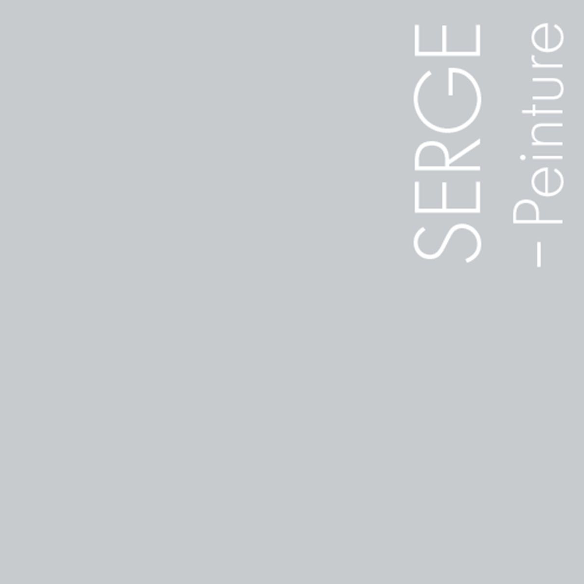 Couleur Serge : Gris clair neutre et facile d