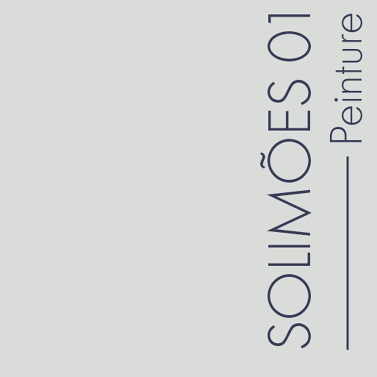 Couleur Solimoes01 : Gris très clair, lumineux et à peine vert.