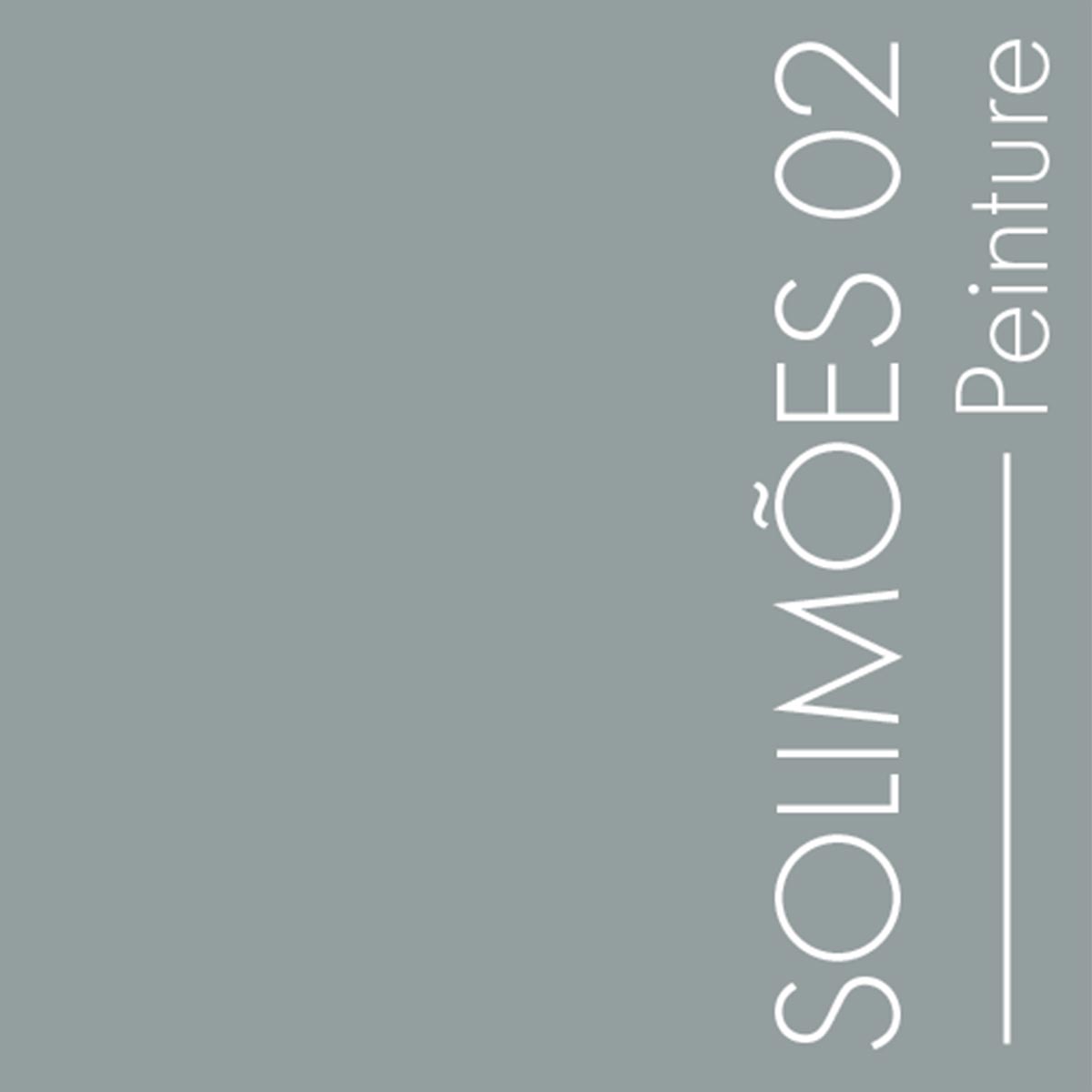 Couleur Solimoes02 : Gris vert changeant et ombré.