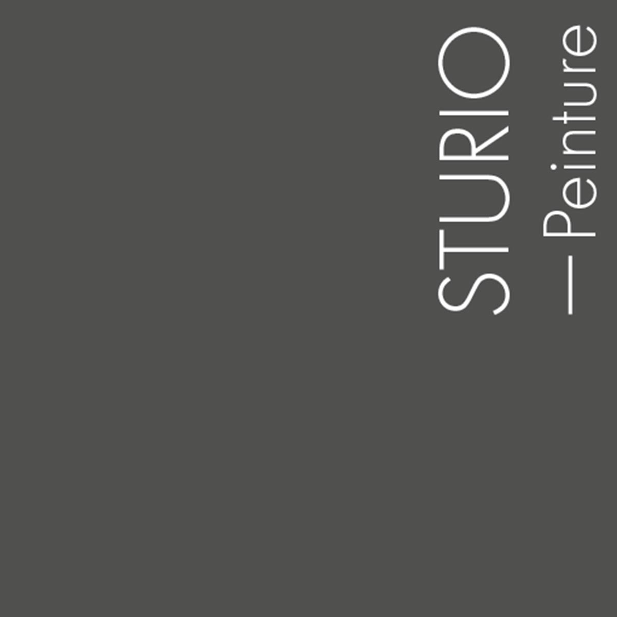 Couleur Sturio : Gris brun chaud et fumé.