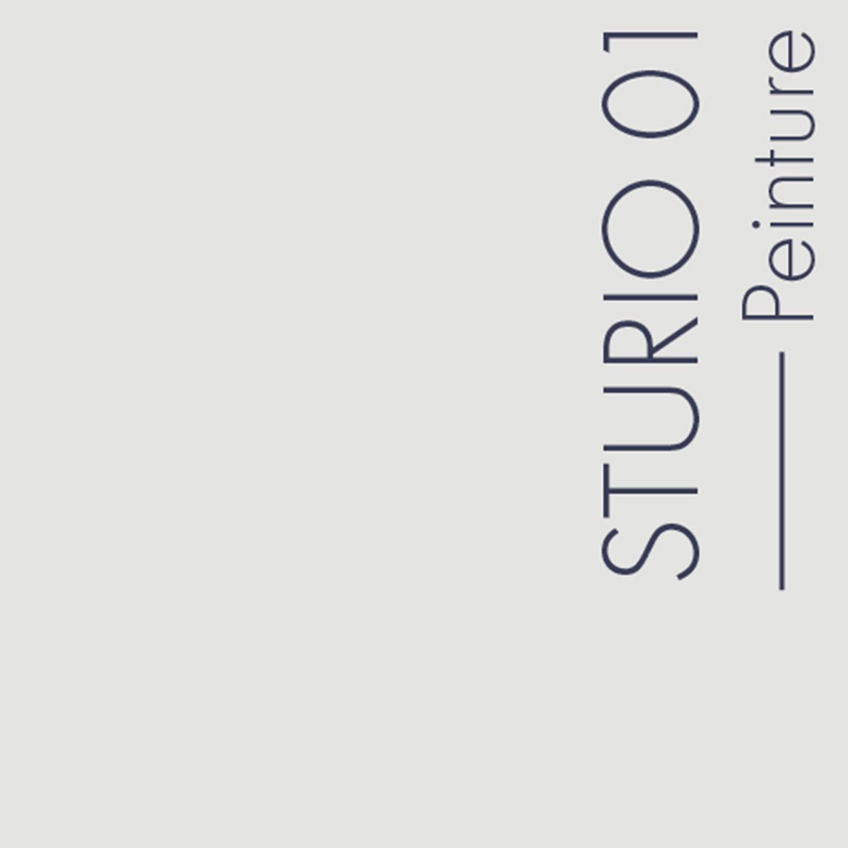 Couleur Sturio01 : Blanc subtilement grisé.