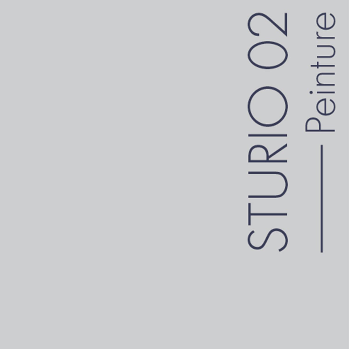 Couleur Sturio02 : Gris très clair. A utiliser comme un blanc avec des tons moyens ou foncés.