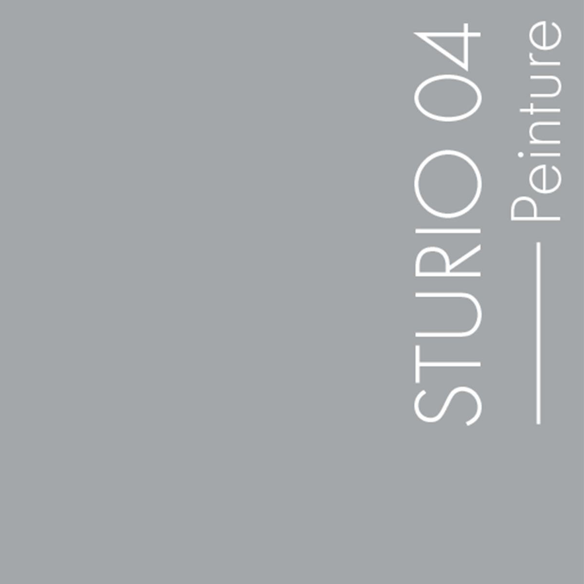 Couleur Sturio04 : Gris brun chaud, ton moyen.