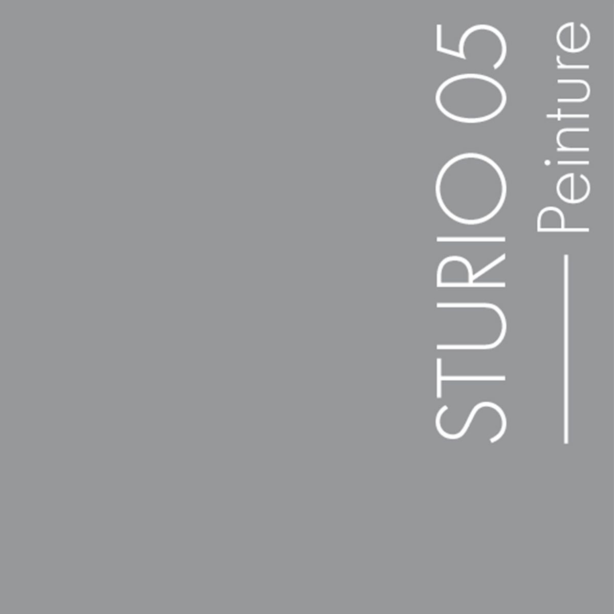 Couleur Sturio05 : Gris brun chaud et fumé, assez soutenu.