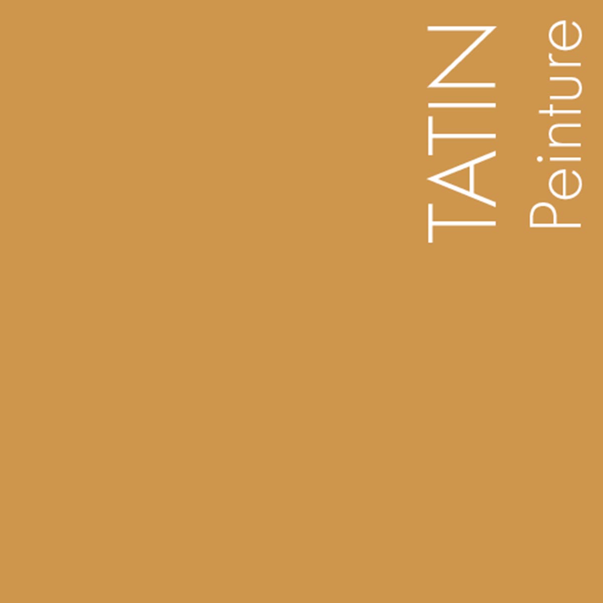 Couleur Tatin : Une couleur fruit cuit …gourmande et chaleureuse. Pourra se marier à merveille avec de nombreux coloris, en particulier les bleus.