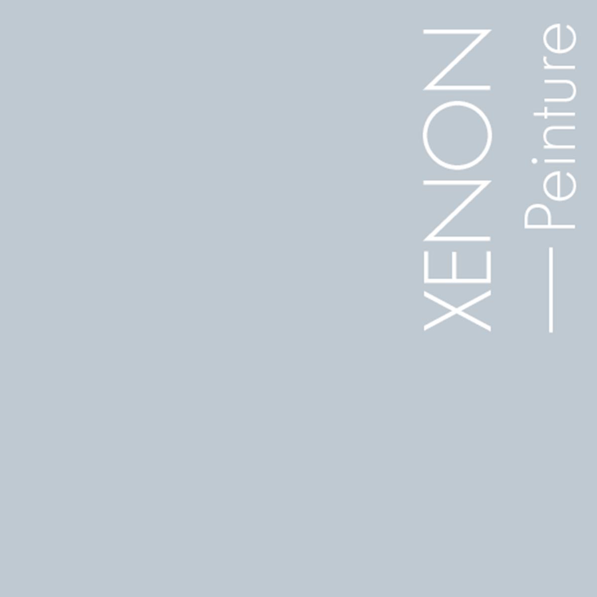 Couleur Xenon : A peine plus foncé que Moonstone et aux accents plus bleus